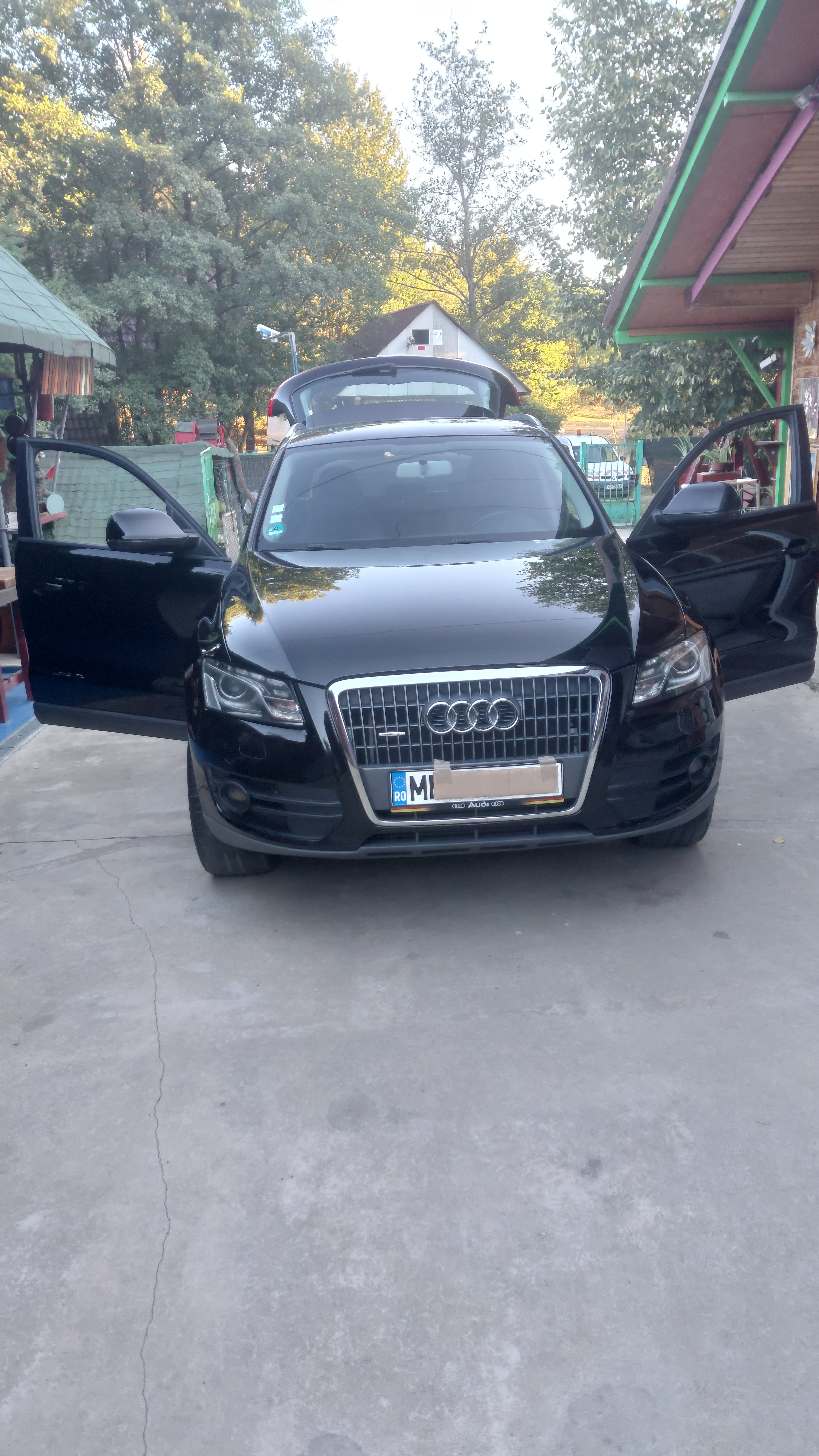 Audi Q5 2010